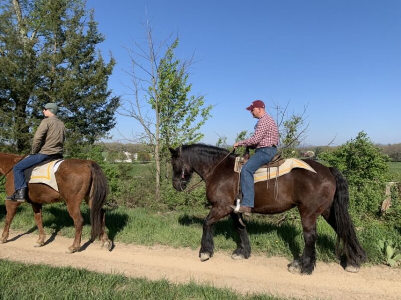 Gettysburg: Licensed Guided Battlefield Horseback Tour - Highlights and Experience