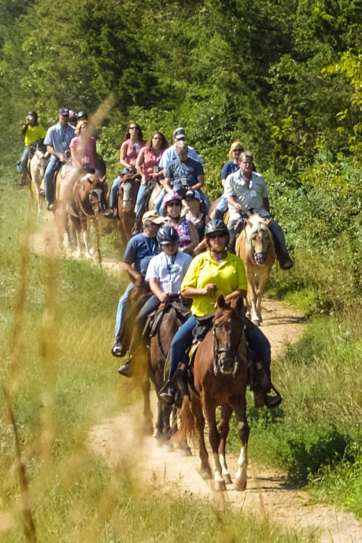 Gettysburg: Licensed Guided Battlefield Horseback Tour - Safety and Restrictions