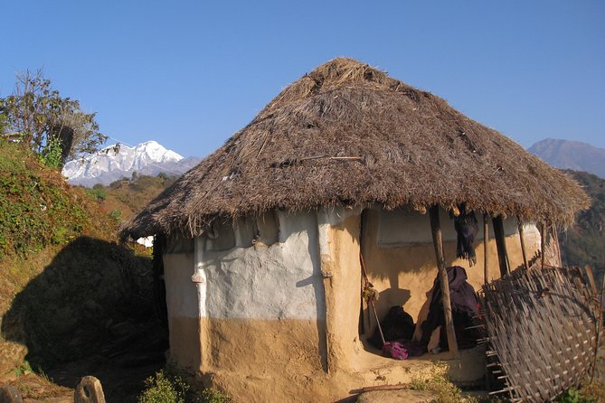 Ghalegaun Homestay Tour Review: Is It Worth It - Traveler Recommendations