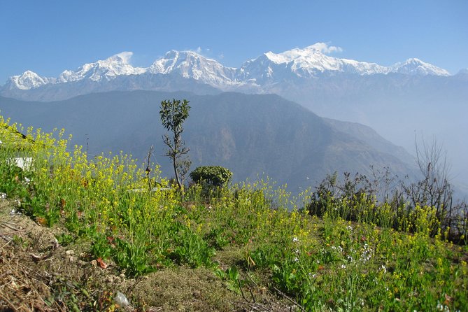 Ghalegaun Homestay Tour Review: Is It Worth It - Recap