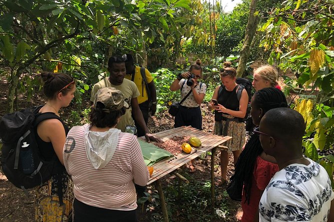Ghana Eastern Explorer - Boti Falls, Aburi Gardens & Tetther Quarshie Cocoa Farm - Discovering Aburi Botanical Gardens