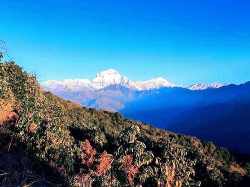 Ghandruk Trek - Booking and Cancellation Policies