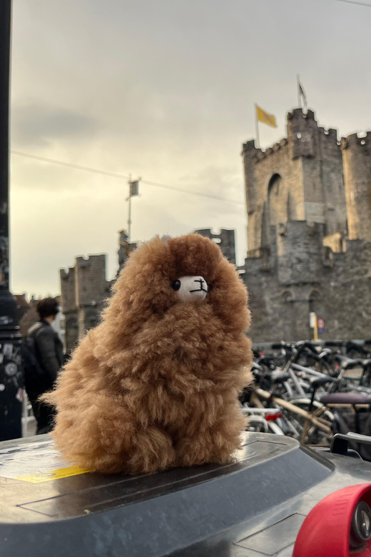 Ghent From Brussels Day Tour - Languages Offered