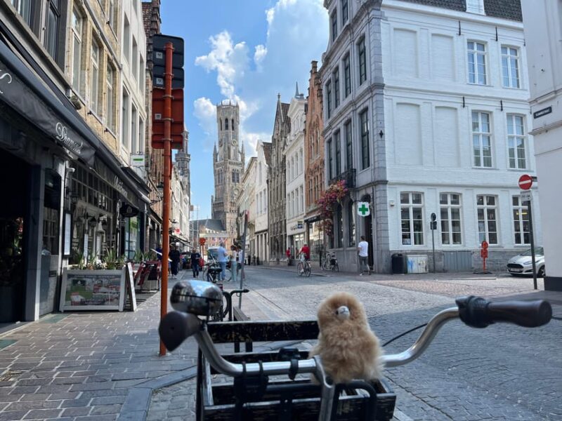 Ghent From Brussels Day Tour - Frequently Asked Questions