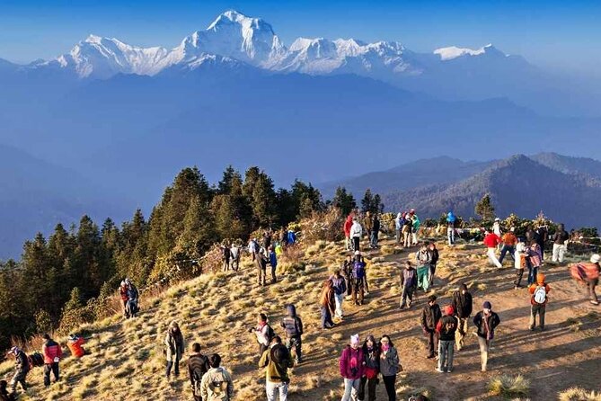 Ghorepani Poon Hill Circuit Trek in 5 Days - Trek Difficulty and Fitness