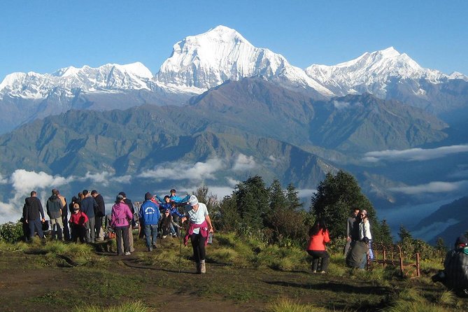 Ghorepani - Poon Hill Trek 3N-4D - Transportation and Accommodation