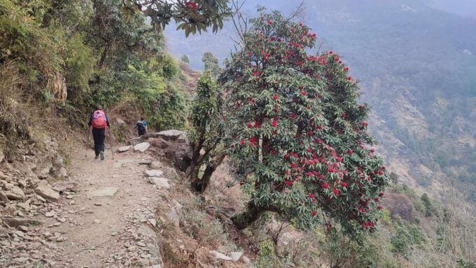 Ghorepani Poon Hill Trek - 4 Days - Frequently Asked Questions
