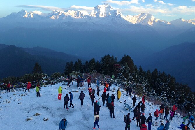 Ghorepani - Poon Hill Trek – 5 DAYS - Customer Feedback and Experiences