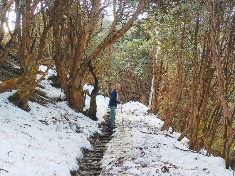 Ghorepani Poon Hill Trek - Included Services