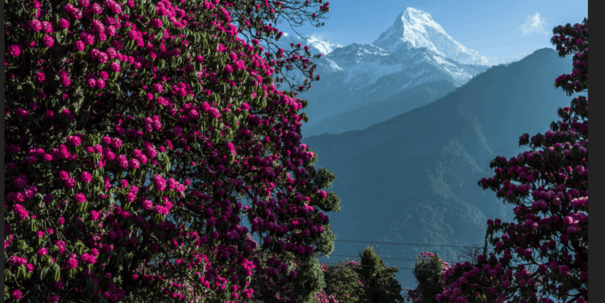 Ghorepani Poon Hill Trek - Frequently Asked Questions