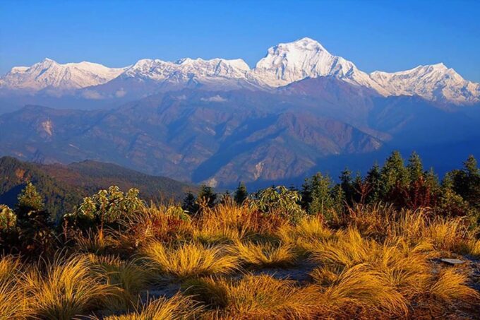 Ghorepani Poon Hill Trek - Annapurna Sunrise Trek - Frequently Asked Questions