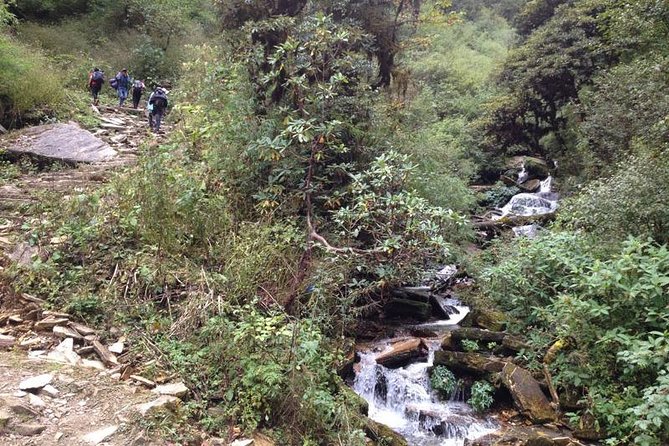 Ghorepani Poon Hill Trek - Inclusions and Exclusions