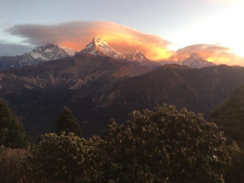 Ghorepani Poonhill Family Tour 5 Days - Itinerary Highlights