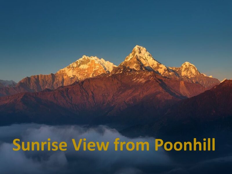 Ghorepani Poonhill Family Tour 5 Days - Trekking Experience