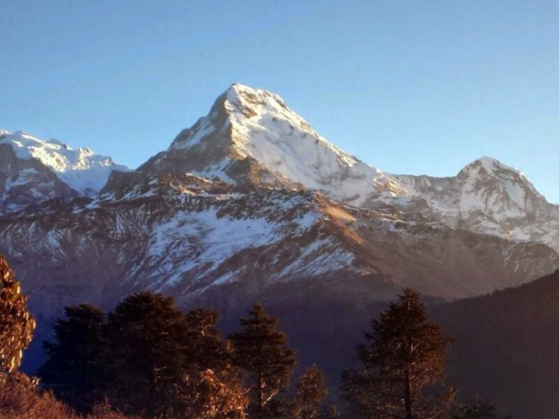 Ghorepani Poonhill Family Tour 5 Days - Group Size and Pickup