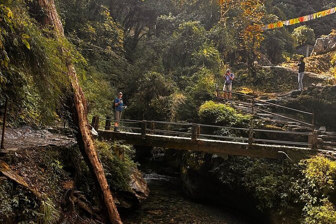 Ghorepani Poonhill Private Trek - 2 Nights / 3 Days - Itinerary Day 2