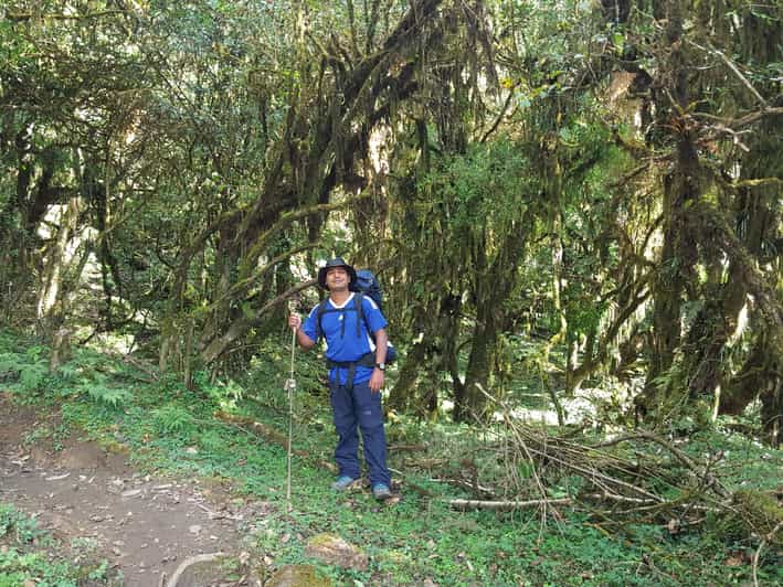 Ghorepani Poonhill Trek 3 Days - Key Points