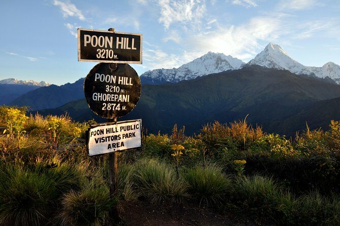 Ghorepani Poonhill Trek 5 Days from Pokhara - An In-Depth Look at the Itinerary