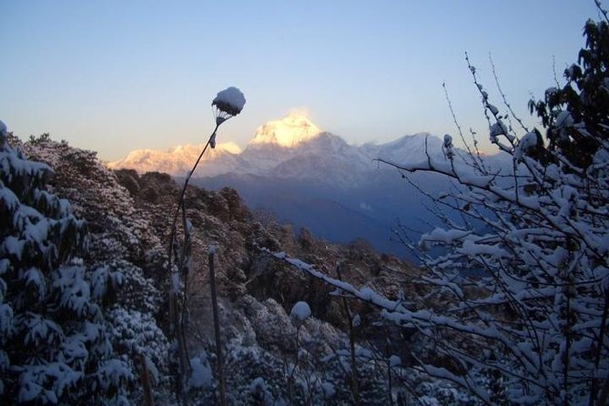 Ghorepani Poonhill Trekking - 9 Days - Itinerary Highlights