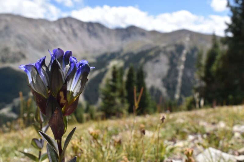 Ghost Towns of the Rockies - Booking Information