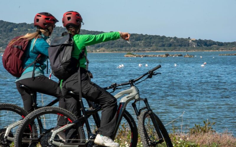 Gialova: Navarino Bay E-Bike Tour With Waterfall Swim - Key Points