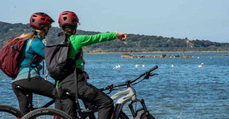 Gialova: Navarino Bay E-Bike Tour With Waterfall Swim - Highlights of the Tour