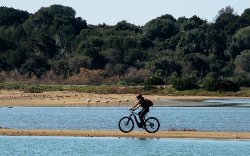Gialova: Navarino Bay E-Bike Tour With Waterfall Swim - Requirements for Participants