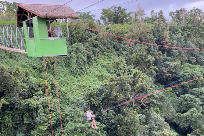 Giant Canyon Swing with Transfers - FAQ