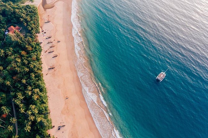 Giant Loop Cruise Mirissa - Inclusions and Fees