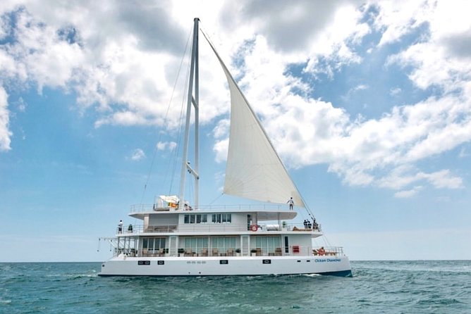 Giant Loop Cruise Mirissa - Private Group Tours
