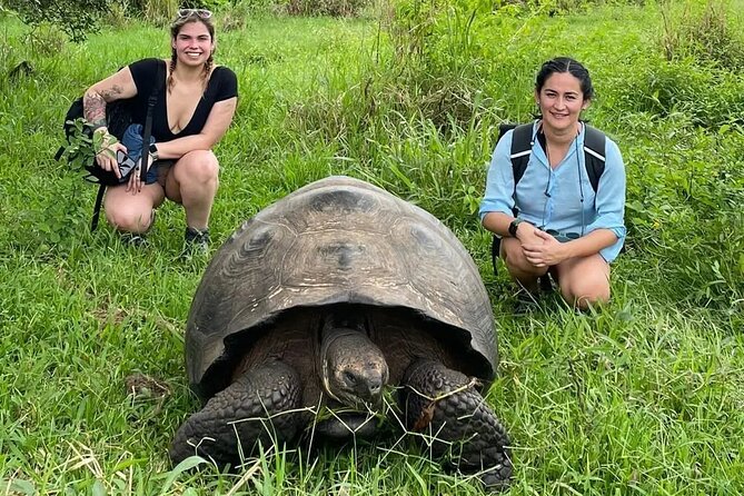 Giant Turtle Watching and Lava Tunnels Tour - Meeting and Logistics