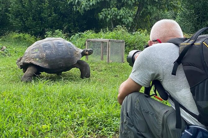 Giant Turtle Watching and Lava Tunnels Tour - Encounter Giant Tortoises