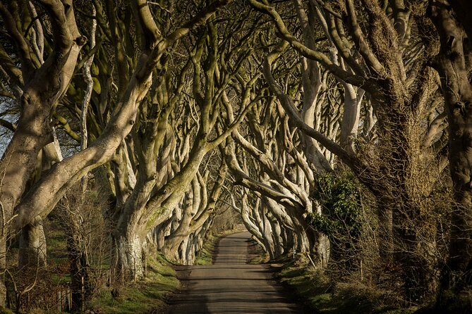 Giants Causeway and Belfast Private Day Tour - Causeway Coastal Route