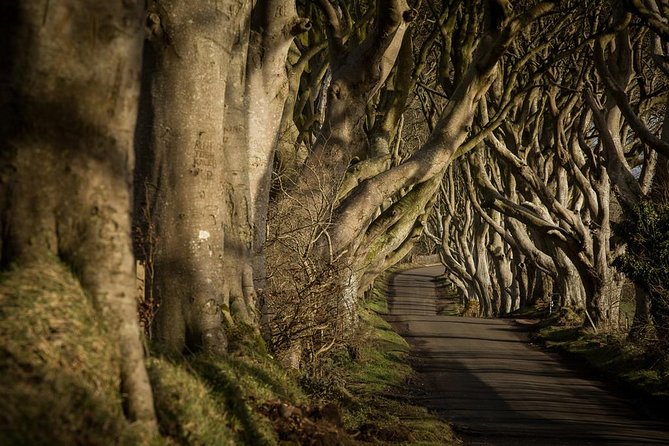 Giants Causeway and More Including Titanic Experience Ticket Tour From Belfast - Titanic Belfast Experience