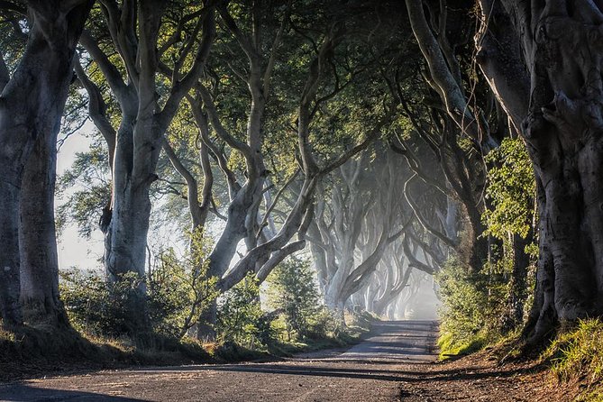 Giants Causeway and More Including Titanic Experience Ticket Tour From Belfast - Discovering the Giants Causeway