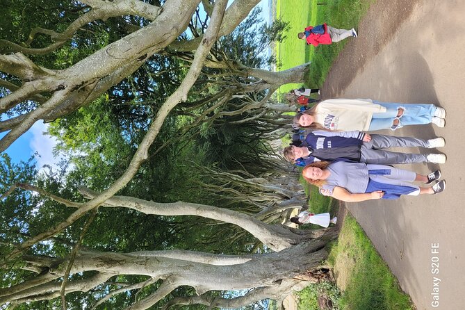 Giants Causeway Private Tour 1 to 7 People - Tailored Tour Experience