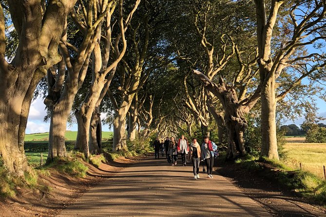 Giants Causeway, Rope Bridge, Carrickfergus Castle and Dark Hedges Tour - Booking Confirmation Details