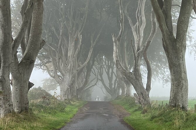 Giants Causeway Tour From Belfast in Luxury 7 Seater - How to Book