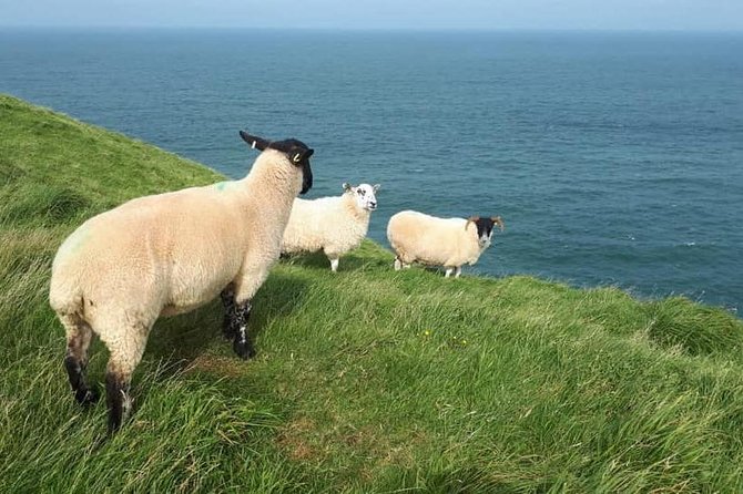Giants Causeway Tour With Cliff Path Hike - Private Tour - Inclusions and Highlights