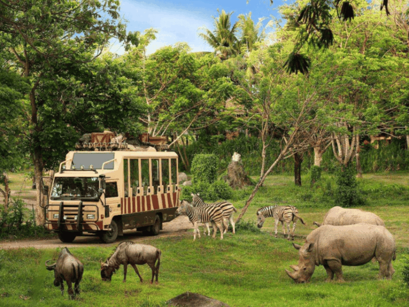 Gianyar: Safari Go Fun Tour - Key Points