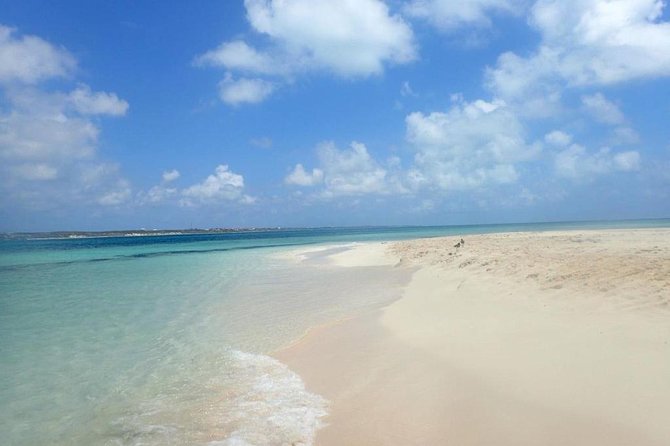 Gibbs Cay Stingray and Conch Dive Adventure - Confirmation and Booking