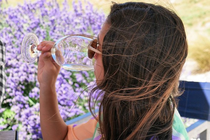 Gibbston Half-Day Private Wine Tour With Hotel Pickup - Expert Tour Guide