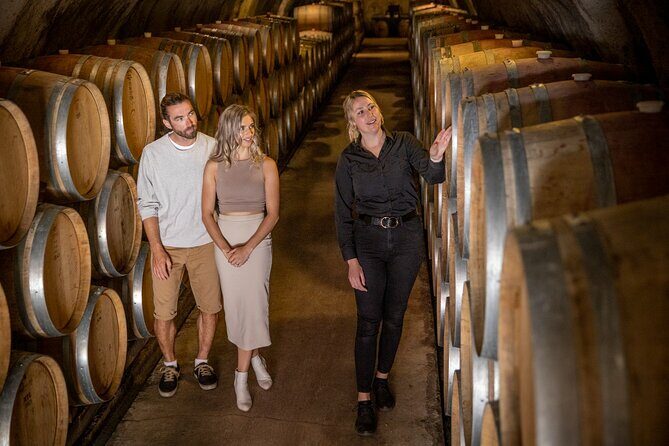 Gibbston Valley Wines - Cave Tour - Authentic Reviews: What Visitors Say