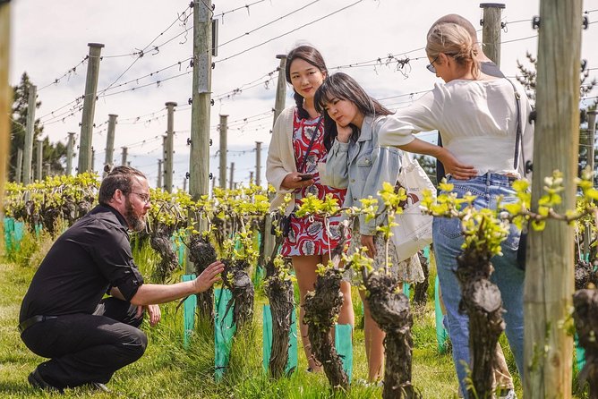 Gibbston Valley Wines - Winery Tour - Tour Inclusions and Wheelchair Accessibility