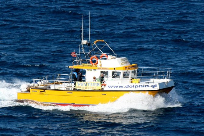 Gibraltar Dolphin Adventure - Exploring the Straits of Gibraltar