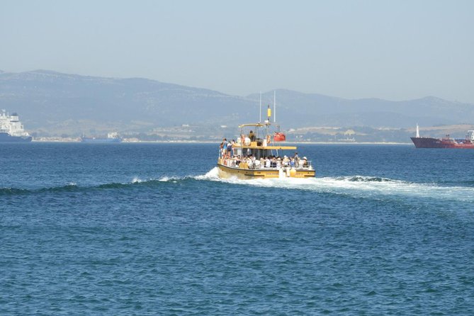Gibraltar Dolphin Adventure - Dolphin Sighting and Viewing Experience