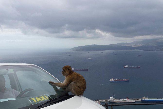 Gibraltar Full Day Tour From Seville - Gibraltar Attractions