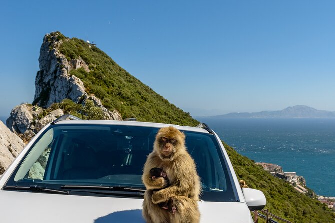 Gibraltar Full Day Tour Ultimate Tour 7hrs - Tour Overview
