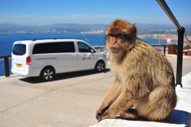Gibraltar Inside Out Panoramic Tour 1hrs Plus - Overview of the Tour