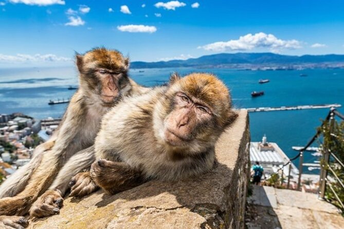 Gibraltar Pass- the Official City Pass for All Attractions! - Transportation Options and Challenges